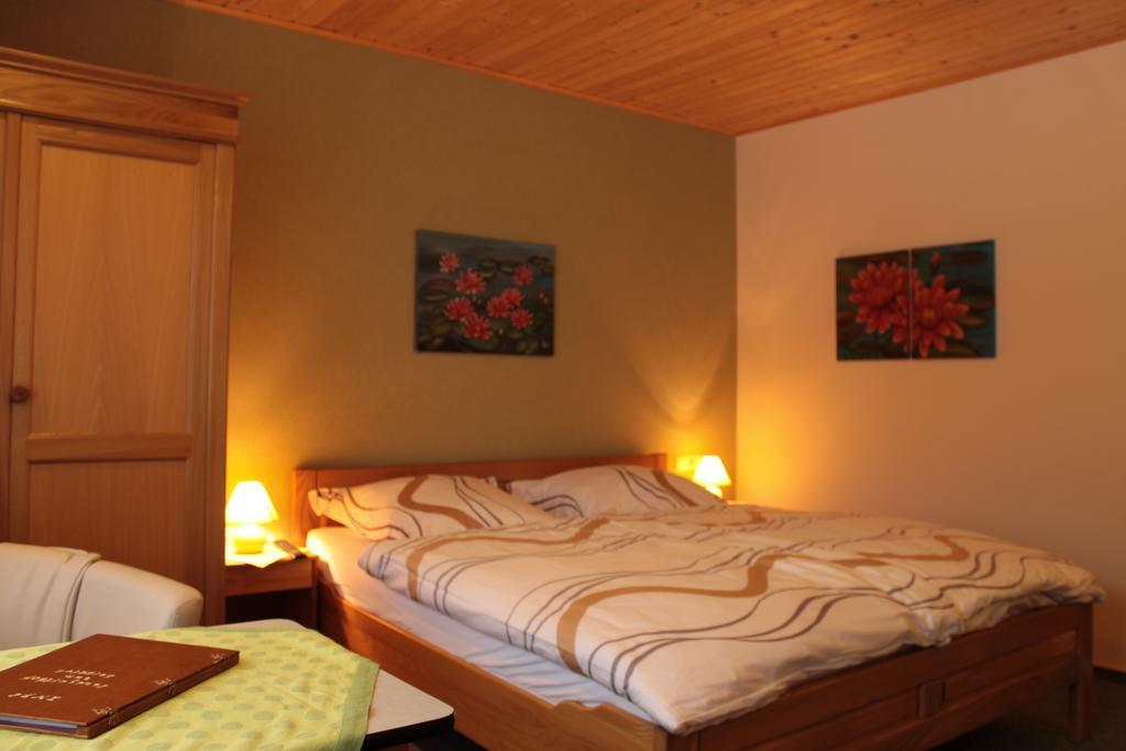 Hotel Landhaus Zum Sorpetal Schmallenberg Pokoj fotografie