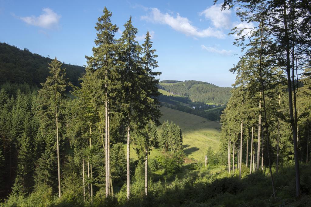 Hotel Landhaus Zum Sorpetal Schmallenberg Exteriér fotografie