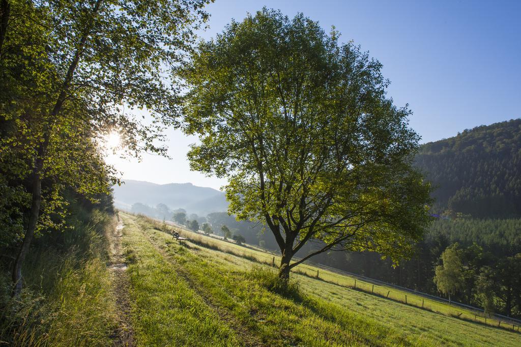 Hotel Landhaus Zum Sorpetal Schmallenberg Exteriér fotografie