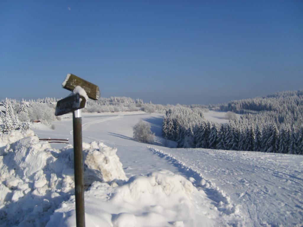 Hotel Landhaus Zum Sorpetal Schmallenberg Exteriér fotografie