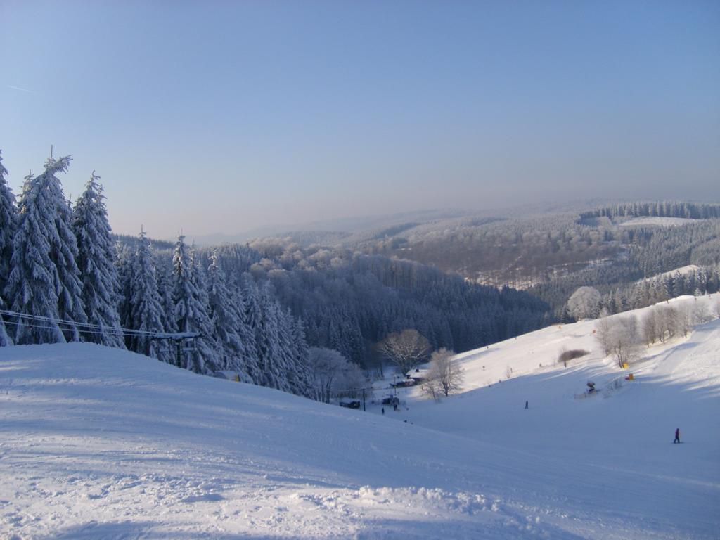 Hotel Landhaus Zum Sorpetal Schmallenberg Exteriér fotografie
