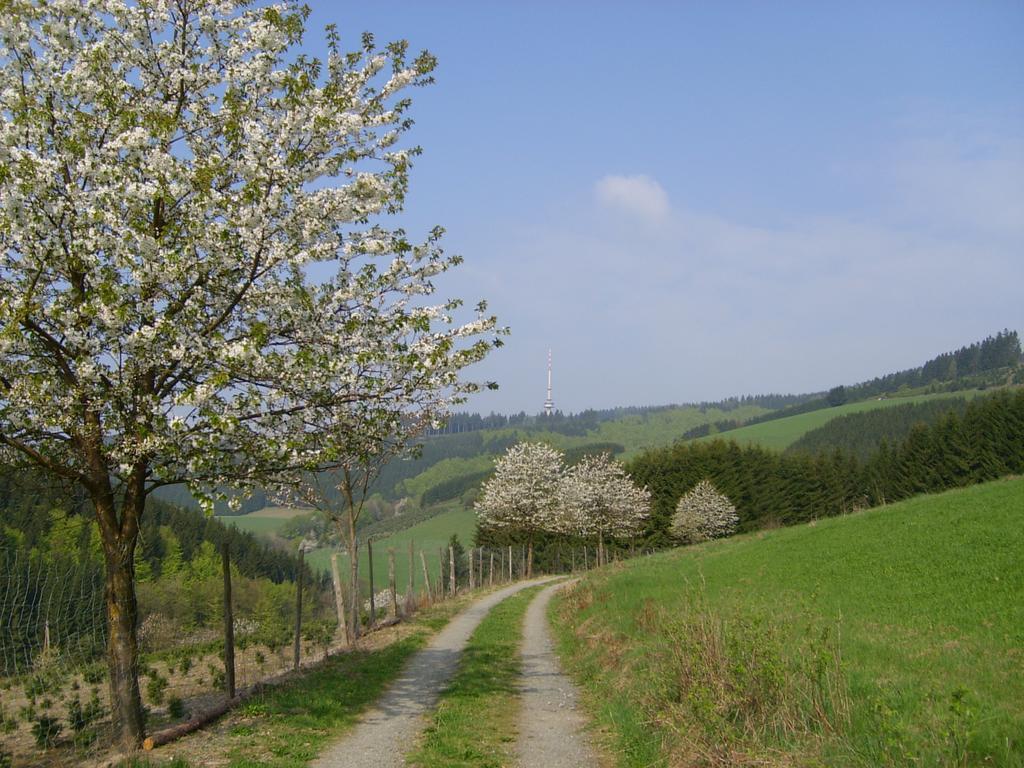 Hotel Landhaus Zum Sorpetal Schmallenberg Exteriér fotografie