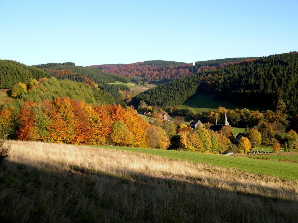 Hotel Landhaus Zum Sorpetal Schmallenberg Exteriér fotografie